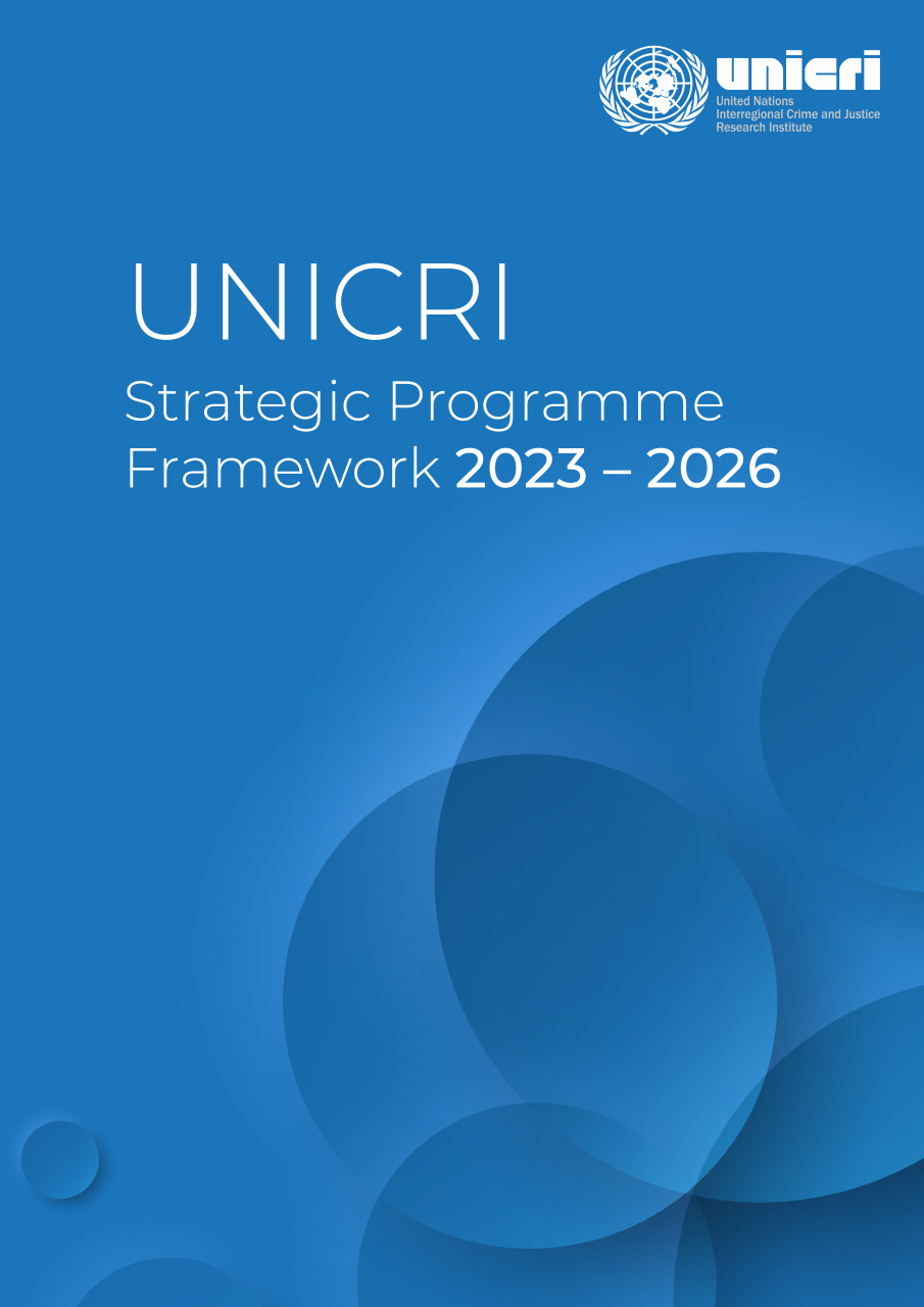 Strategic Programme Framework