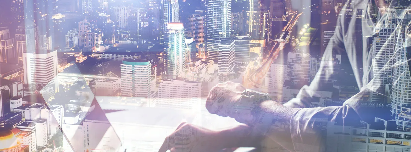 United Nations Crime Prevention and Criminal Justice Programme Network  Section Banner