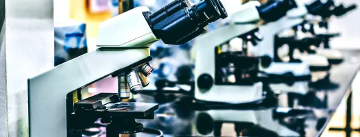 Biosecurity Initiative