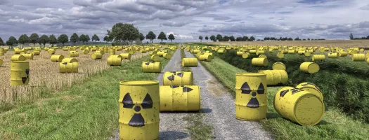 Environmental crimes