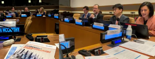 UNICRI-UNCCT/UNOCT Joint Report Launching Event